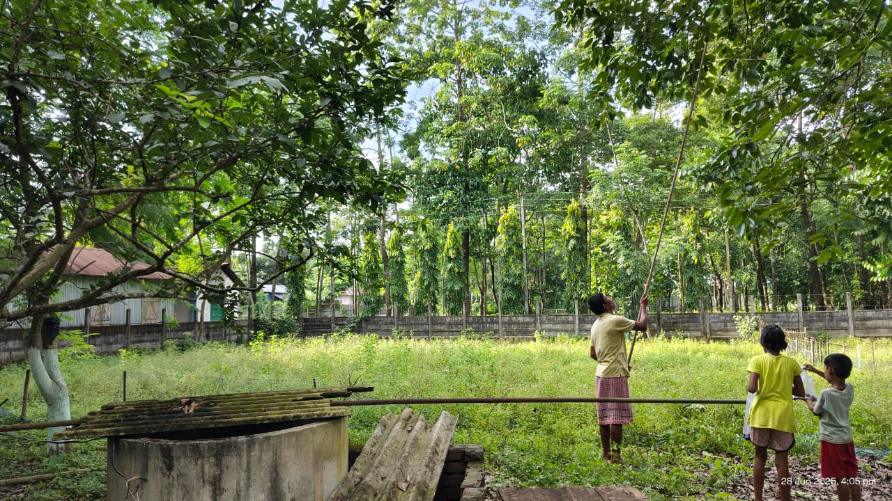Elephanta Resort Gallery Image 10