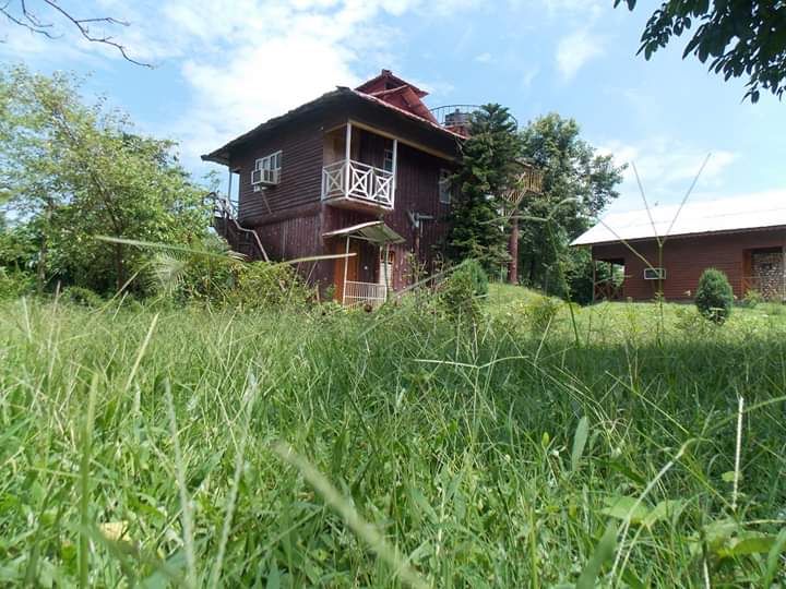 Elephanta Resort Gallery Image 13