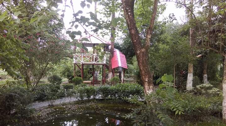 Elephanta Resort Gallery Image 14