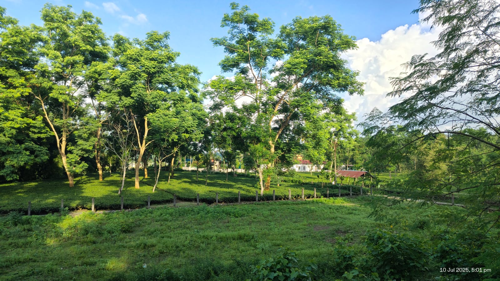 Elephanta Resort Gallery Image 9