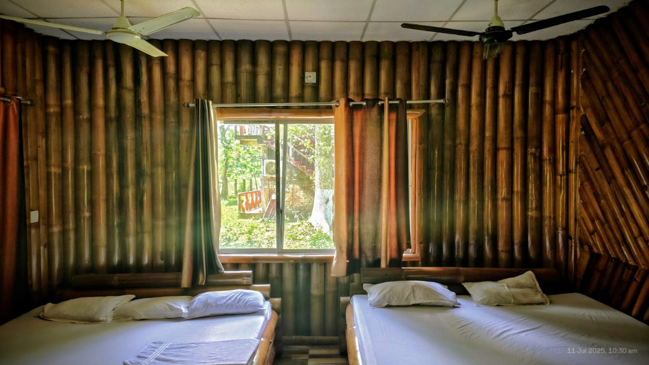 Bamboo Deluxe Image